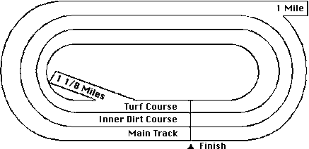 Aqueduct Hore Racing Track Layout