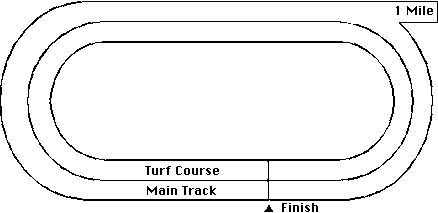 Arlington Park Horse Racing Track Layout