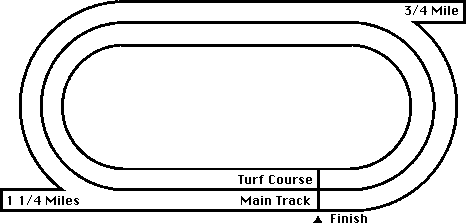 Fair Meadows Horse Racing Track Layout