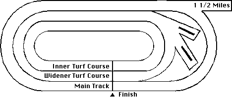 Belmont Park Horse Racing Track Layout