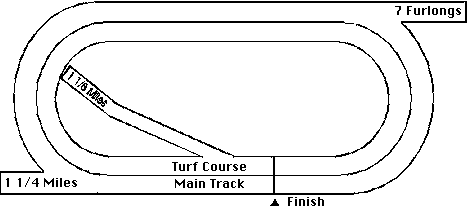 Calder Race Course Track Layout