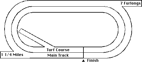 Del Mar Horse Racing Track Layout