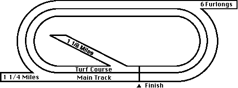 Delaware Park Horse Racing Track Layout