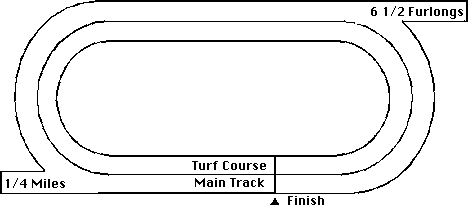 Fort Erie Horse Racing Track Layout