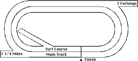 Gulfstream Park Horse Racing Track Layout