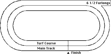 Hawthorne Horse Racing Track Layout
