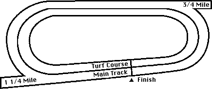 Mountaineer Horse Racing Track Layout