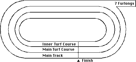Saratoga Horse Racing Track Layout