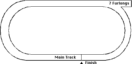 Sportsman's Park Horse Racing Track Layout