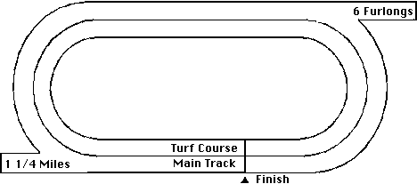 Suffolk Downs Horse Racing Track Layout