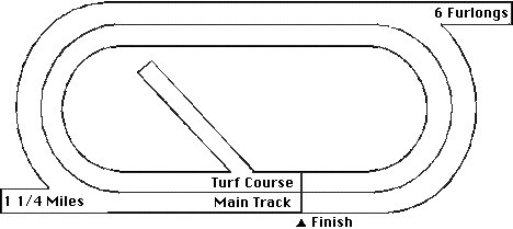 Turf Paradise Horse Racing Track Layout