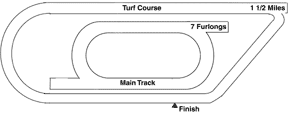 Woodbine Horse Racing Track Layout